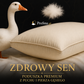Poduszka Premium z Naturalnego Puchu i Pierza Gęsiego 50×70 cm
